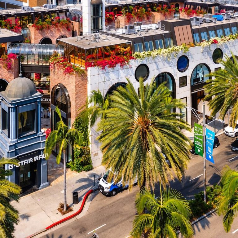 Palm trees and storefronts on Rodeo Drive, home of Moy, Fincher, Chipps Facial Plastics & Dermatology at 421 N. Rodeo Drive